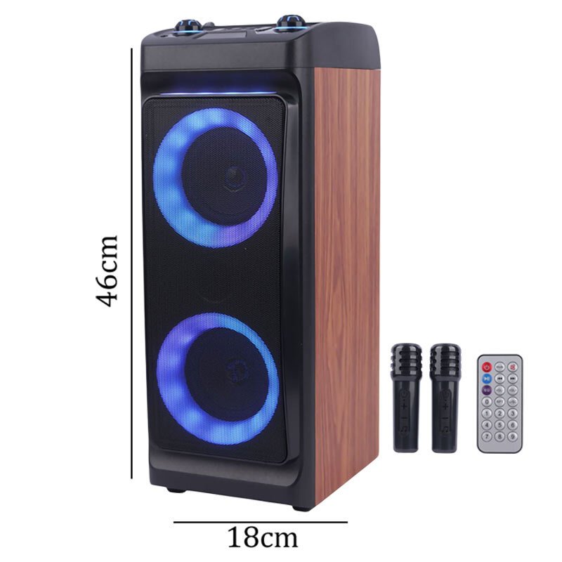 LED SPEAKER WITH 2 MICE